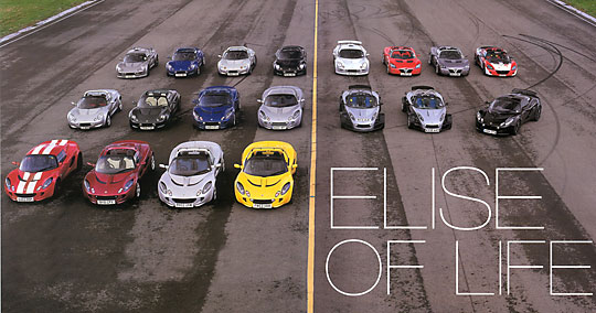 19 different Lotus Elises or variants thereof.