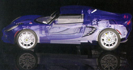 x-ray of Elise side