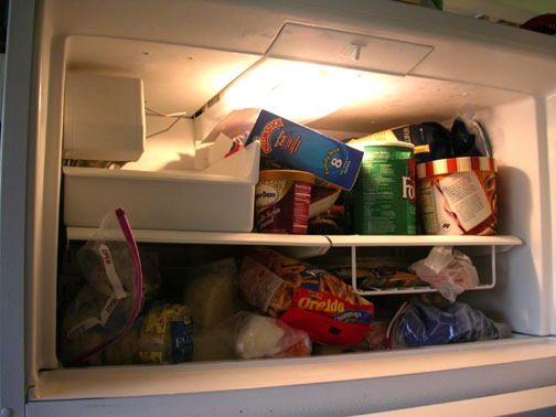 Amana freezer on refrigerator